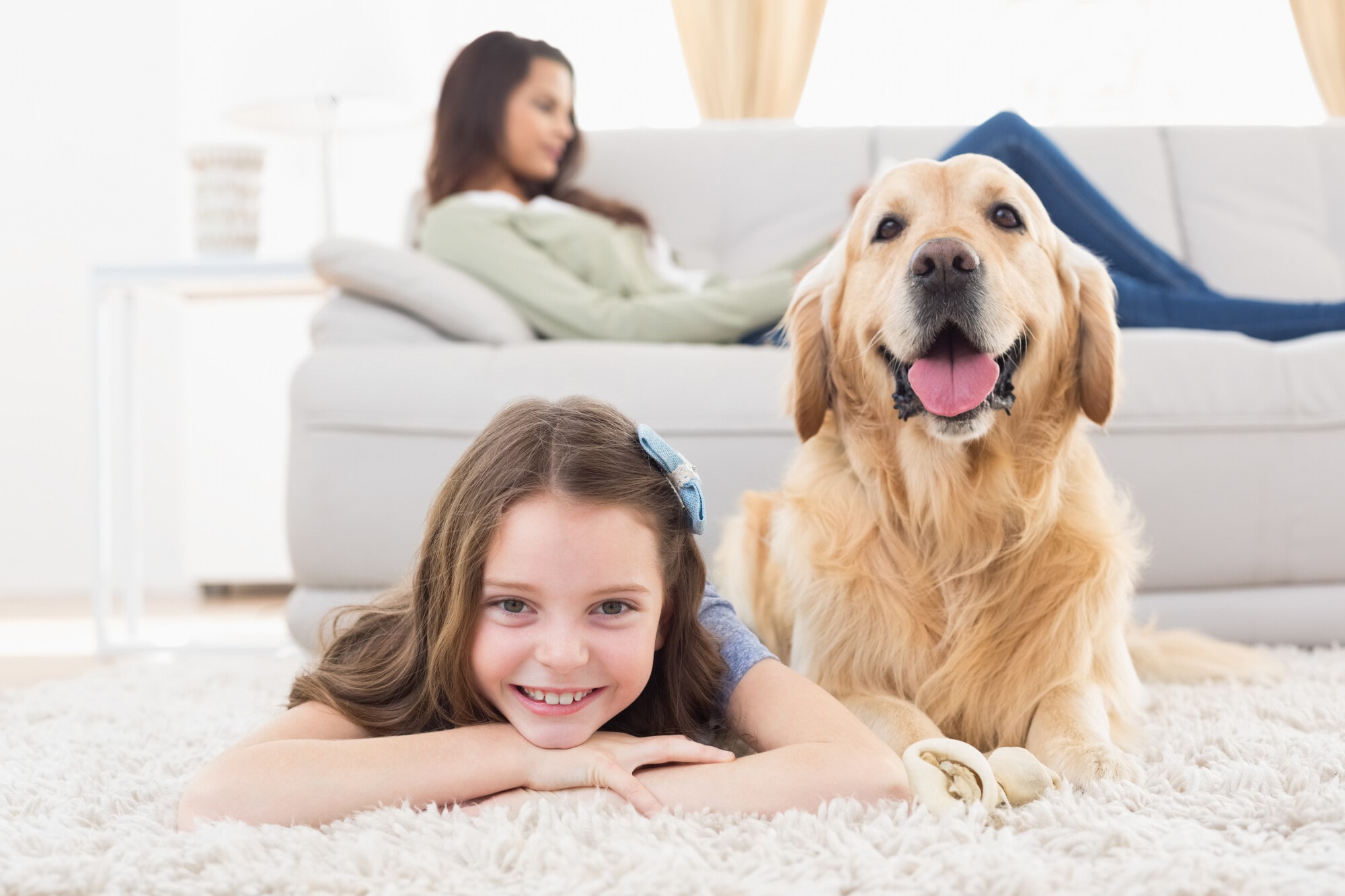 San Francisco Bay Property Management: Should You Allow Pets in a Rental Property?